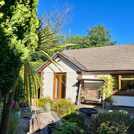 Coastal Garden Annex With Log Fire & Summer House Aberporth Kültér fotó